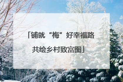 铺就“梅”好幸福路 共绘乡村致富图