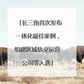 长三角首次发布一体化最佳案例，组建区域轨交运营公司等入选
