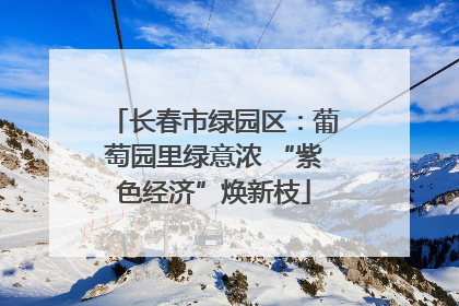 长春市绿园区：葡萄园里绿意浓 “紫色经济”焕新枝