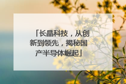 长晶科技，从创新到领先，揭秘国产半导体崛起