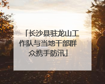长沙县驻龙山工作队与当地干部群众携手防汛