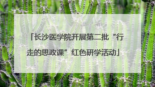 长沙医学院开展第二批“行走的思政课”红色研学活动