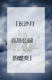 长沙月亮岛公园的蝶变