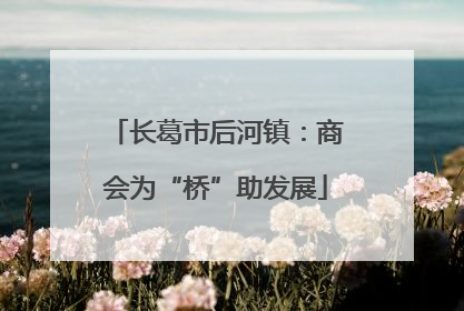 长葛市后河镇：商会为“桥”助发展