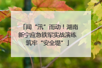 闻“汛”而动！湖南新宁应急铁军实战演练筑牢“安全堤”
