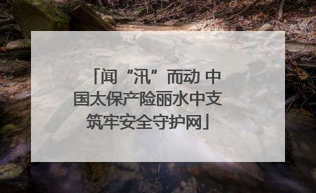闻“汛”而动 中国太保产险丽水中支筑牢安全守护网