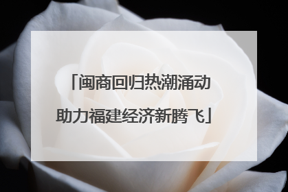 闽商回归热潮涌动 助力福建经济新腾飞