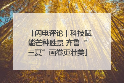 闪电评论｜科技赋能芒种胜景 齐鲁“三夏”画卷更壮美