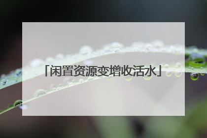 闲置资源变增收活水