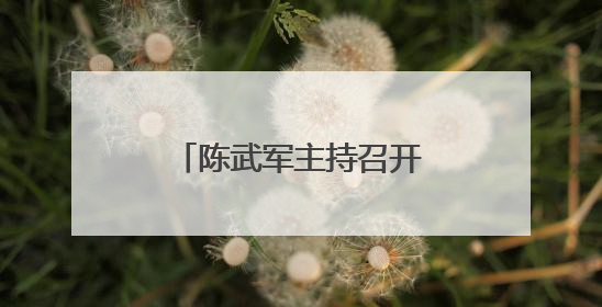 陈武军主持召开部分领域重点项目调度会（图）