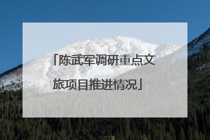 陈武军调研重点文旅项目推进情况
