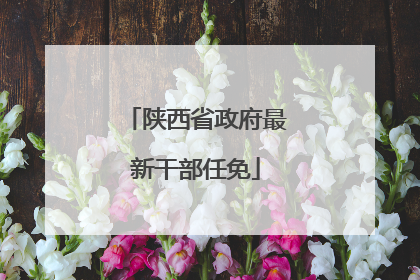 陕西省政府最新干部任免