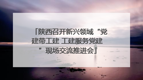 陕西召开新兴领域“党建带工建 工建服务党建”现场交流推进会
