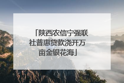 陕西农信宁强联社普惠贷款浇开万亩金银花海