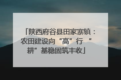 陕西府谷县田家寨镇：农田建设向“高”行 “耕”基稳固筑丰收