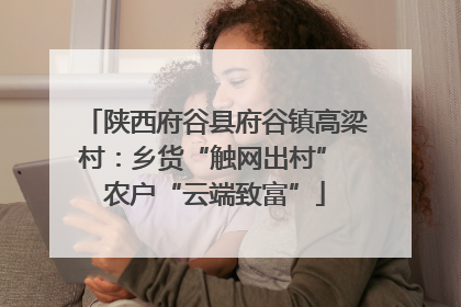 陕西府谷县府谷镇高梁村：乡货“触网出村” 农户“云端致富”
