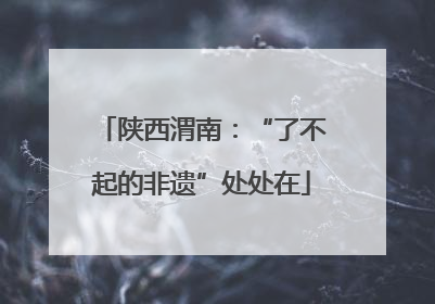 陕西渭南：“了不起的非遗”处处在