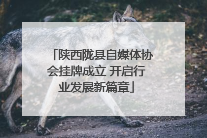 陕西陇县自媒体协会挂牌成立 开启行业发展新篇章