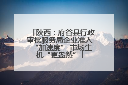 陕西：府谷县行政审批服务局企业准入“加速度” 市场生机“更盎然”