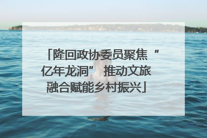 隆回政协委员聚焦“亿年龙洞” 推动文旅融合赋能乡村振兴