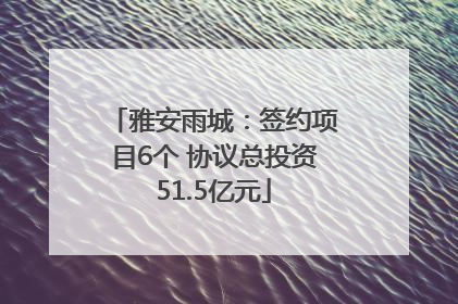 雅安雨城：签约项目6个 协议总投资51.5亿元