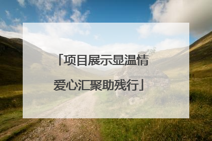 项目展示显温情 爱心汇聚助残行