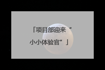 项目部迎来“小小体验官”