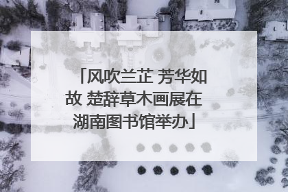 风吹兰芷 芳华如故 楚辞草木画展在湖南图书馆举办
