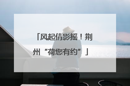 风起倩影摇！荆州“荷您有约”