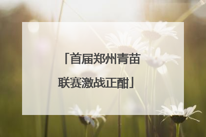 首届郑州青苗联赛激战正酣