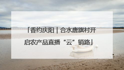 香约庆阳｜合水唐旗村开启农产品直播“云”销路