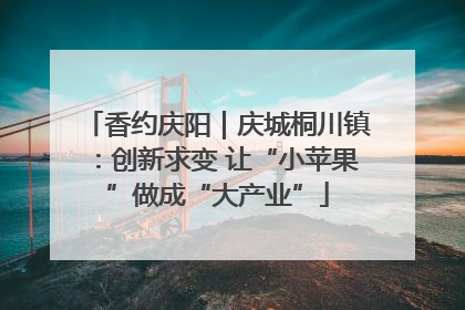 香约庆阳｜庆城桐川镇：创新求变 让“小苹果”做成“大产业”