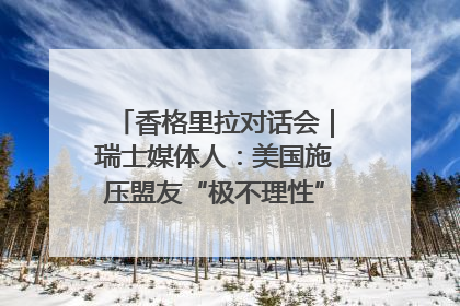 香格里拉对话会｜瑞士媒体人：美国施压盟友“极不理性” 欧洲国家无意与中国“脱钩断链”
