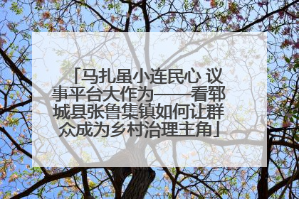 马扎虽小连民心 议事平台大作为——看郓城县张鲁集镇如何让群众成为乡村治理主角