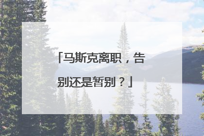 马斯克离职，告别还是暂别？