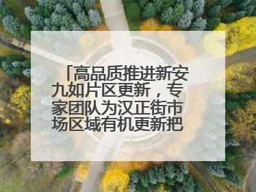 高品质推进新安九如片区更新，专家团队为汉正街市场区域有机更新把脉问诊