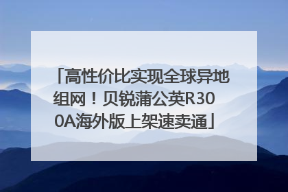 高性价比实现全球异地组网！贝锐蒲公英R300A海外版上架速卖通