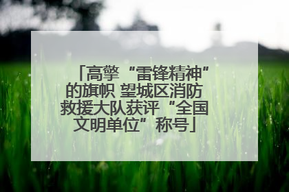 高擎“雷锋精神”的旗帜 望城区消防救援大队获评“全国文明单位”称号