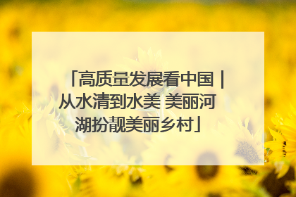 高质量发展看中国｜从水清到水美 美丽河湖扮靓美丽乡村