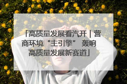 高质量发展看汽开｜营商环境“主引擎” 轰响高质量发展新赛道