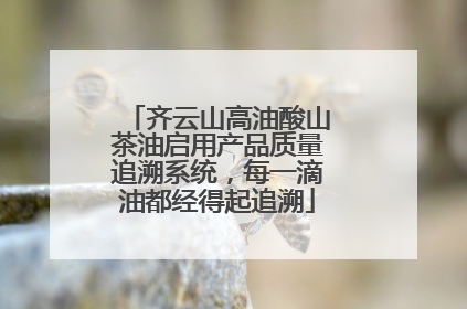 齐云山高油酸山茶油启用产品质量追溯系统，每一滴油都经得起追溯
