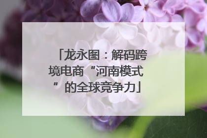 龙永图：解码跨境电商“河南模式”的全球竞争力