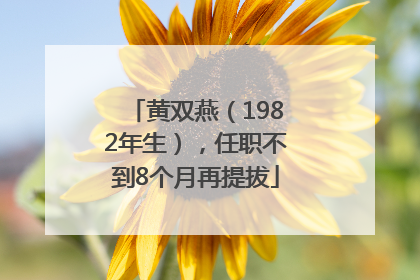 黄双燕（1982年生），任职不到8个月再提拔