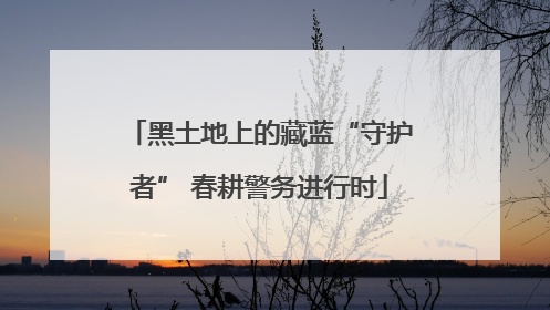 黑土地上的藏蓝“守护者” 春耕警务进行时