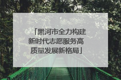 黑河市全力构建新时代志愿服务高质量发展新格局