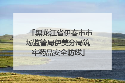 黑龙江省伊春市市场监管局伊美分局筑牢药品安全防线