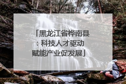 黑龙江省桦南县：科技人才驱动 赋能产业促发展