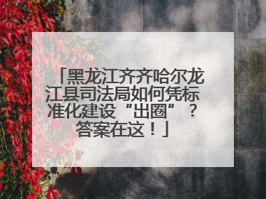黑龙江齐齐哈尔龙江县司法局如何凭标准化建设“出圈”？答案在这！
