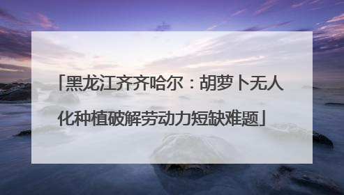 黑龙江齐齐哈尔：胡萝卜无人化种植破解劳动力短缺难题