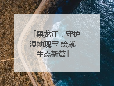 黑龙江：守护湿地瑰宝 绘就生态新篇